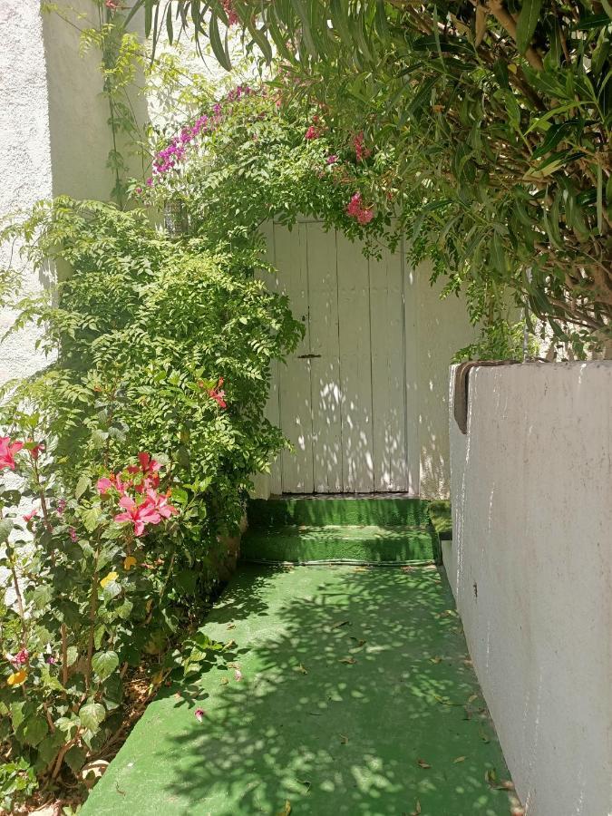 Wonderful Seaviews Only Adults Apartment Altea Bagian luar foto